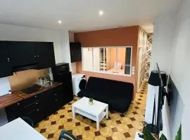 Appartement lumineux