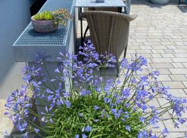 Domizil Gols, Studios Am Anger，位于戈尔斯的酒店