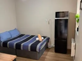 Unique stylish studio apartment