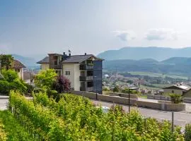 Apartment Mendelbahn 1