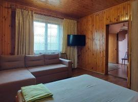 Holiday Home at Fedkovycha St.，位于基辅的酒店