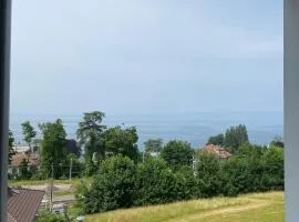 Appartement Au bord du Lac de Genève