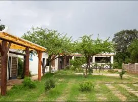 Saba House and Lodges