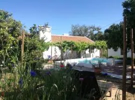 Bombom Comporta