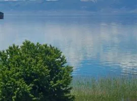 Apartments Anchor Pestani