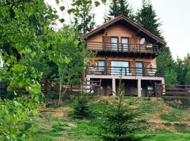 Family Nest Băișoara confort de top la 5 km de p&acirc;rtia de schi, cu Wi-Fi rapid，位于穆恩特勒白索利的滑雪度假村
