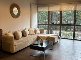 Pilar Suites by Viva，位于皮拉尔的酒店