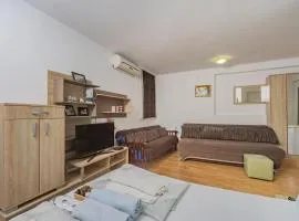 Apartmani Mijailovic PARKING WI-FI AIR CONDITION FREE