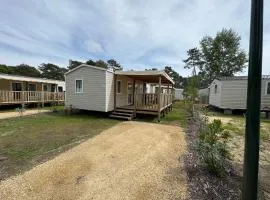 Bungalow du bassin