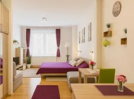 安迪的家庭中央公寓