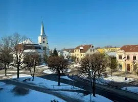 Kesk Central Apartment