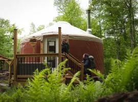 Cozy Yurt in the Woods