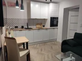 Apartament B