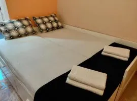 Black Cat Apartment