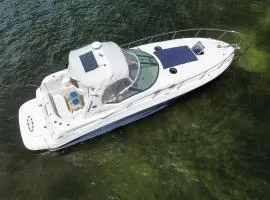 Searay 320