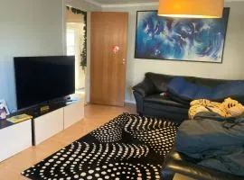 Big house in beautiful area