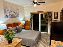 Studio Phoenix Pet Friendly Near Black Sand Beach & Volcanic Forest，位于帕霍阿的酒店