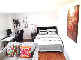 Executive room in a cozy Apt