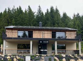 Fláje Apartmány，位于Český Jiřetín的酒店