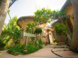 Leafy Greens Chiangmai