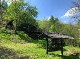 Domek Na Grzybowej - w lesie, w górach