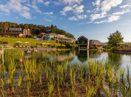 Pfalzblick Wald Spa Resort，位于达恩的酒店