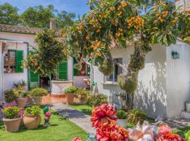 Casa Vileta，位于马略卡岛帕尔马的别墅