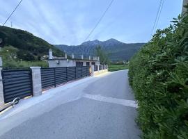 Waves & Peaks Apartment，位于泽莱尼卡的酒店