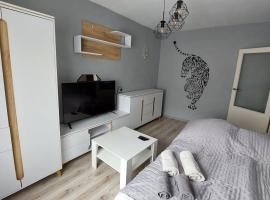 MagMar Studio Byczyna，位于Byczyna的酒店