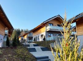 Hahnenklee Ferienchalets，位于哈嫩克利博克斯维斯的低价酒店