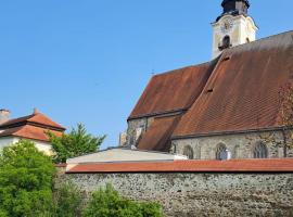 Spitzbart，位于Eferding的酒店