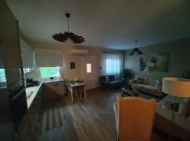 Vaios House