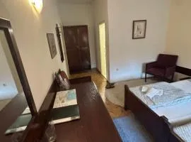 Prenociste PALIC
