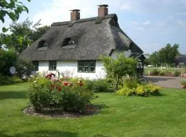 Kleines Historisches Reetdachhaus Auf Altem Deich