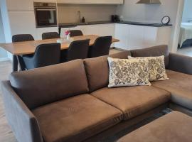 Grindavik Apartment，位于格林达维克的酒店