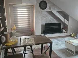 Centre city apartment