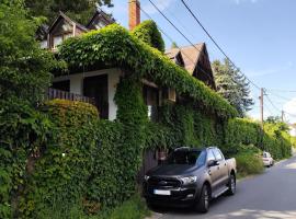 Borostyán Vendégház Badacsony，位于包道乔尼托毛伊的酒店
