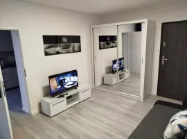 Apartament A1, Parter, City of Grudziadz 42m Wi Fi
