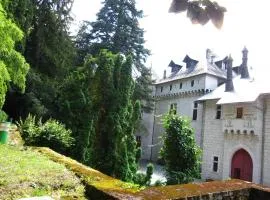 Apartment in Serrières Castle near French Alps, cleaning included