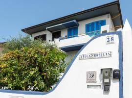 Villa Versilia，位于利多迪卡马约雷的酒店