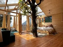 Jibhi's Nesthouse