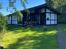 Sauerländer Henne-Lütt