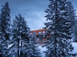 Guri i Kuq Hotel & Vila，位于佩奇的酒店
