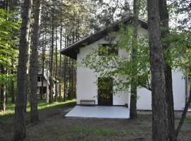 ŠUMSKA KUĆICA centar