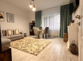 Cristina Dreams Apartaments 2，位于博托沙尼的低价酒店