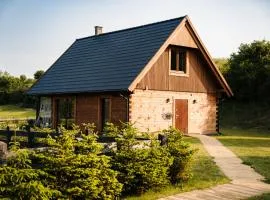 Silent Hill in Probark