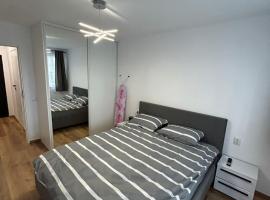 Apartament modern zona Aeroport，位于Sînnicoară的酒店