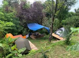 Forest & Sea Campsite