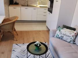 Apartman AURELIUS，位于温科夫齐的酒店