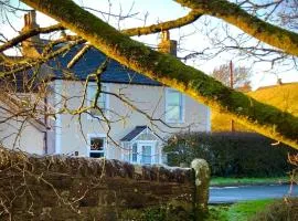 The MireHouse - Georgian rural retreat